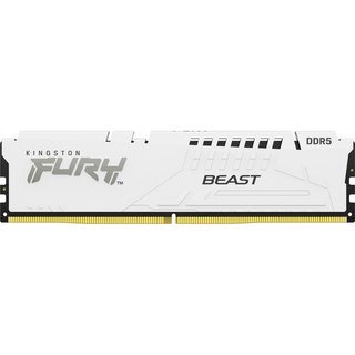 Kingston 32 Go DDR5-5600 (1X 32 Go) mémoire vive