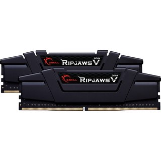 G.Skill 64 Go DDR4-2666 (2X 32 Go) mémoire vive