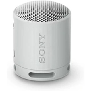 Enceinte sans fil bluetooth Ultra portable Sony SRS-XB100 Gris