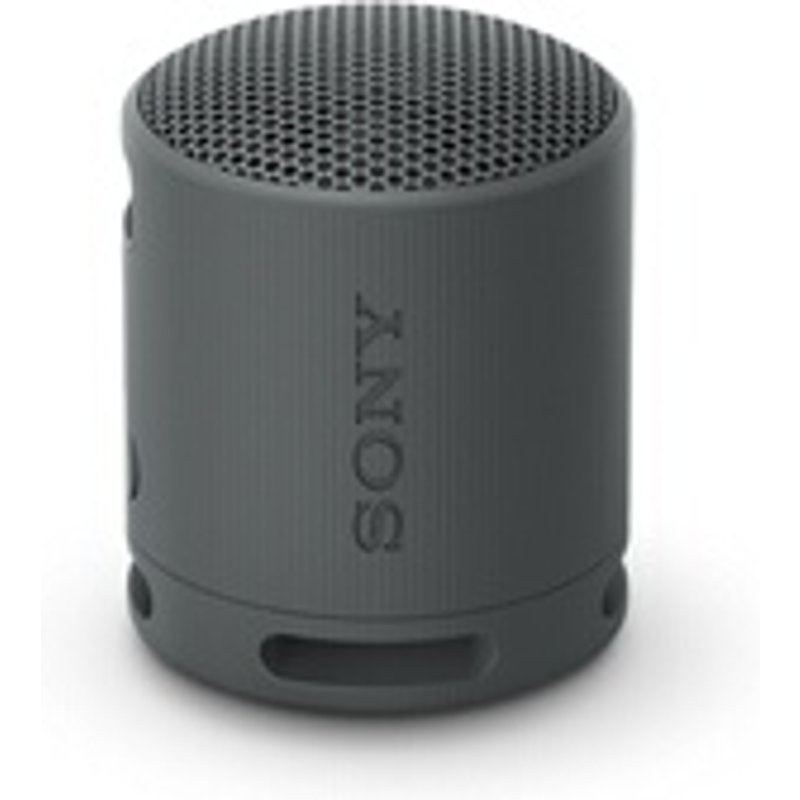 Enceinte sans fil bluetooth Ultra portable Sony SRS-XB100 Noir