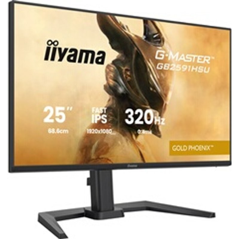 Écran PC Gaming Iiyama G-Master™ Gold Phoenix™ GB2591HSU-B1 24,5" 320 Hz Full HD Noir mat