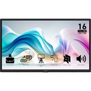 Écran PC portable MSI Pro MP165 E6 15,6" Full HD