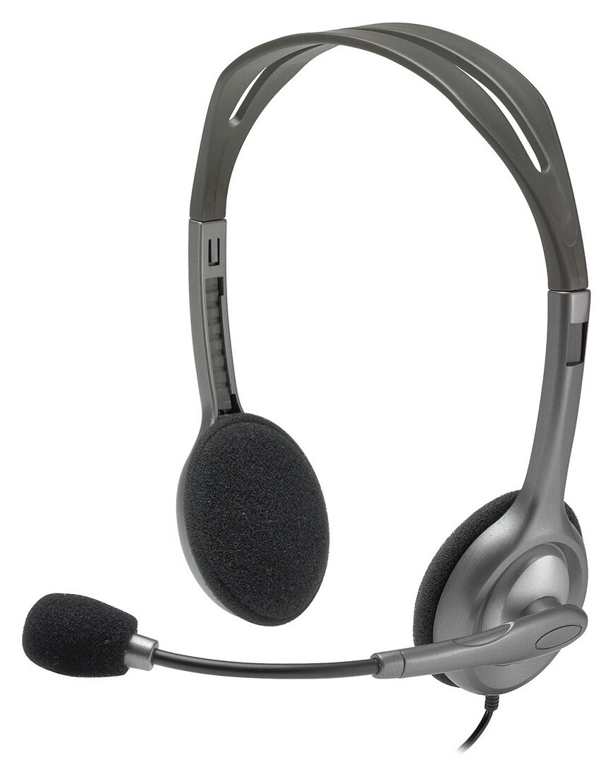 Logitech H110