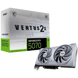 Carte graphique MSI NVIDIA GeForce RTX 5070 12G VENTUS 2X OC Blanc