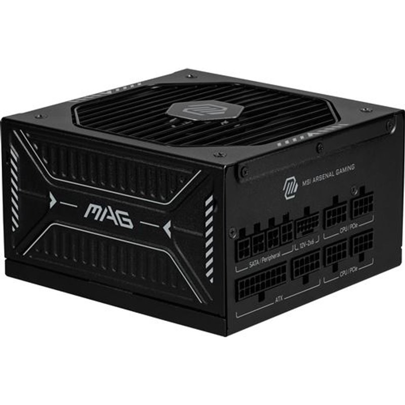 Alimentation PC modulaire MSI MAG A850GLS PCIE5 850W 80 PLUS Gold noir