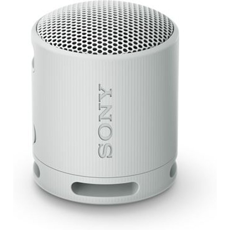 Enceinte sans fil bluetooth Ultra portable Sony SRS-XB100 Gris