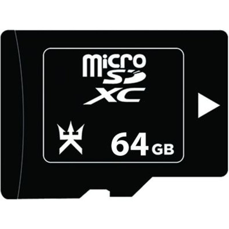 Carte MicroSD Alpha Omega Players 64 Go pour Nintendo Switch