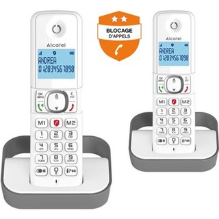 Téléphone fixe sans fil Alcatel F860 Duo Blanc et Gris