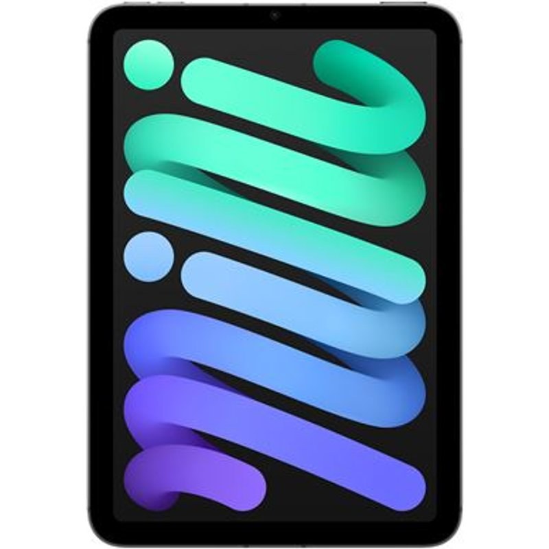 Apple iPad Mini 8,3'' 256 Go Gris sidéral 5G 7ème génération 2024