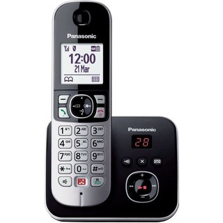 Téléphone fixe sans fil Solo Panasonic KX-TG6861 Noir et argent