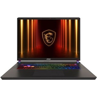 PC Portable Gaming MSI Vector 17 HX AI A2XWJG-006FR 17" QHD+ 240 Hz Intel® Core™ Ultra 9 32 Go