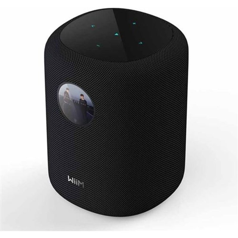 Enceinte multiroom Wiim Sound Display Noir