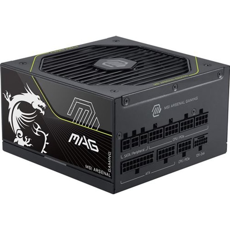 Alimentation PC modulaire MSI MAG A1200PLS PCIE5 1200 W 80 PLUS Platinum Noir