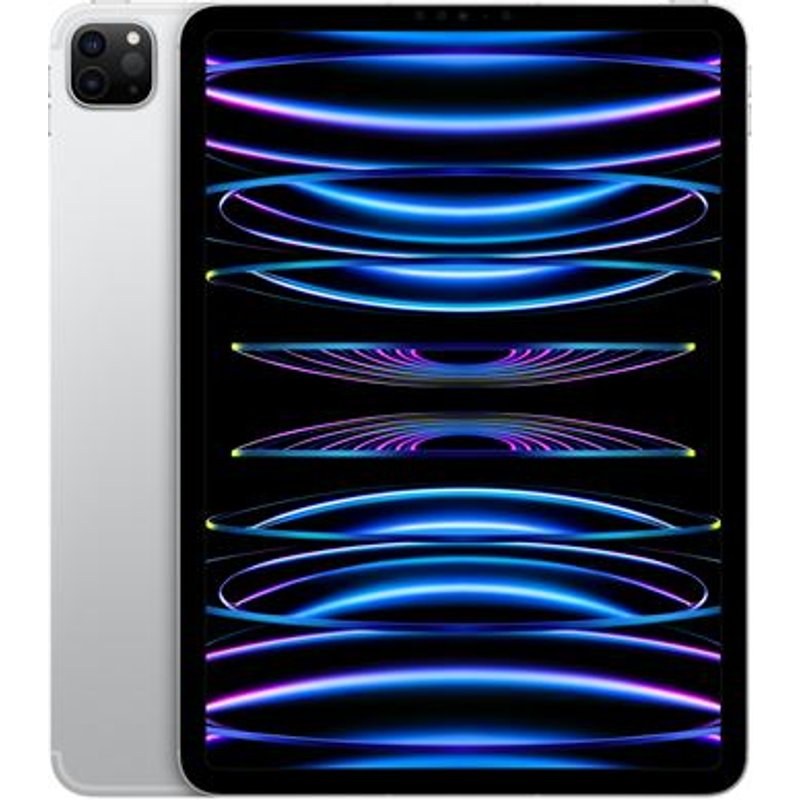 Apple iPad Pro 11" Puce Apple M2 2 To Argent Wi-Fi Cellular Fin 2022