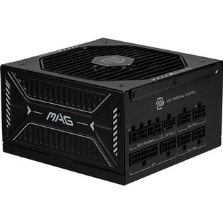 Alimentation PC modulaire MSI MAG A1000GLS PCIE5 1000W 80 PLUS Gold noir