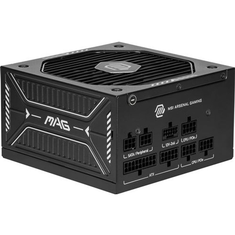 Alimentation PC modulaire MSI MAG A750GLS PCIE5 750W 80 PLUS Gold noir