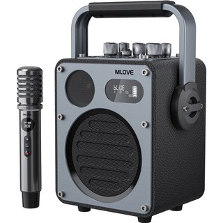 Système de Karaoké Bluetooth Mlove Rangers D4 , Enceinte Portable avec Microphones Sans Fil