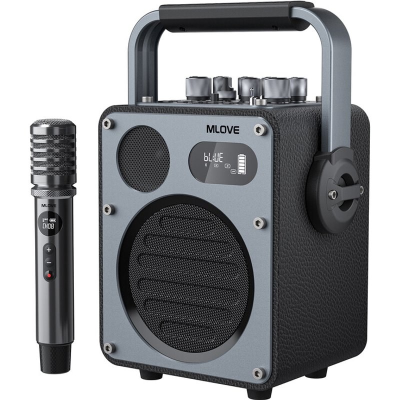 Système de Karaoké Bluetooth Mlove Rangers D4 , Enceinte Portable avec Microphones Sans Fil