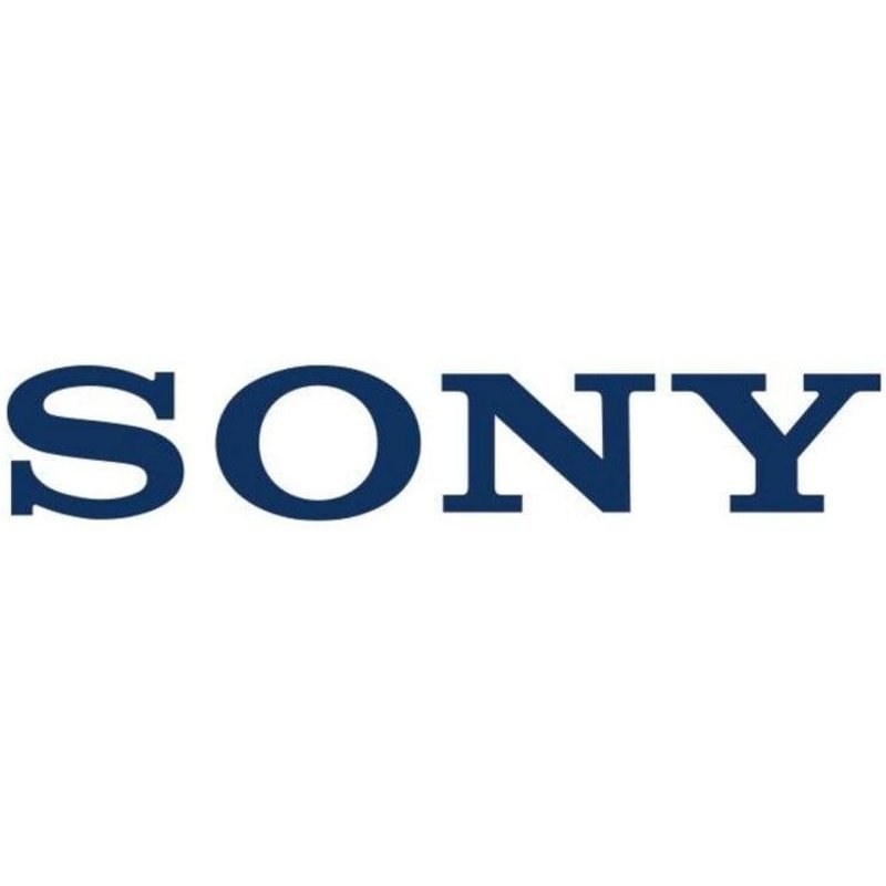 Sony LINKBUDS WF-LC900 GREGE