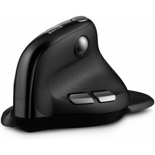 Urban Factory ERGO Max souris Bureau Droitier RF sans fil + Bluetooth 4000 DPI