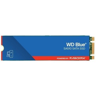 Western Digital SSD WD Blue SA510 1 To - M.2