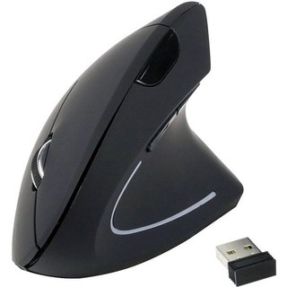 Equip 245110 Souris Ergonomique Sans Fil 1600DPI Noir