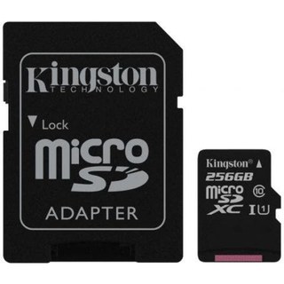 Carte MicroSDXC Kingston Canvas 256 Go classe 10
