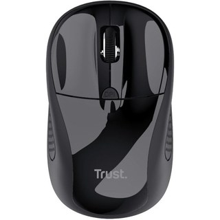 Trust 24658 souris Ambidextre RF sans fil Optique 1600 DPI