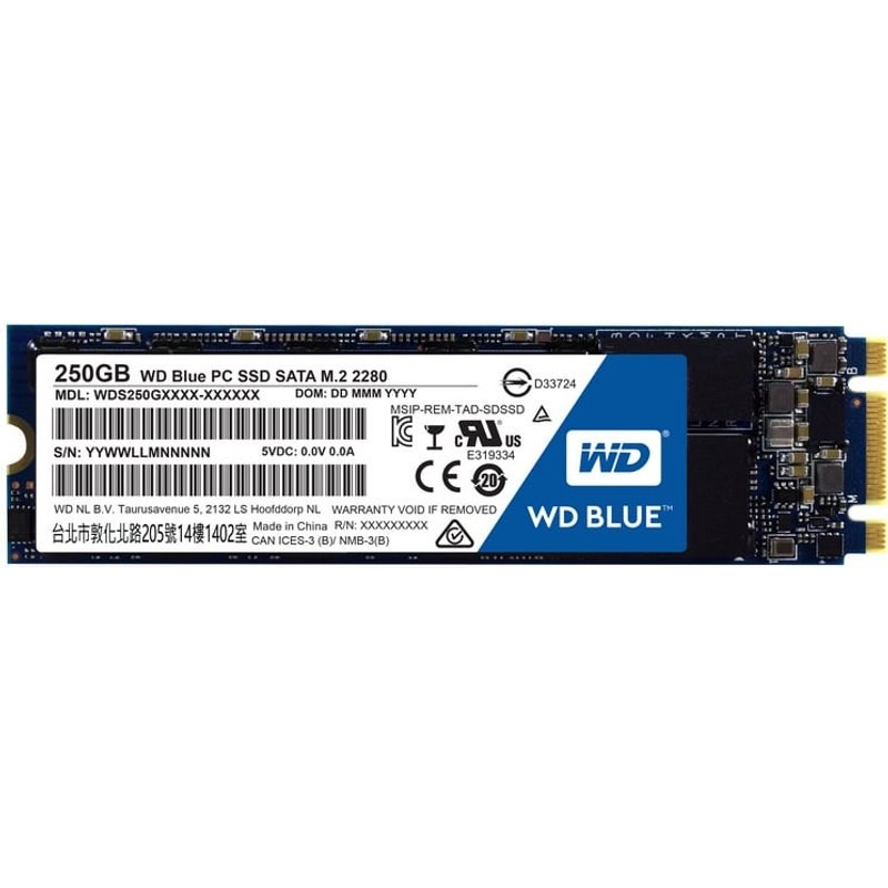 WD Western Digital Blue PC M.2 250 Go