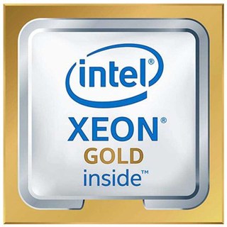 Intel Xeon Gold 5418Y processeur 2 GHz 45 Mo