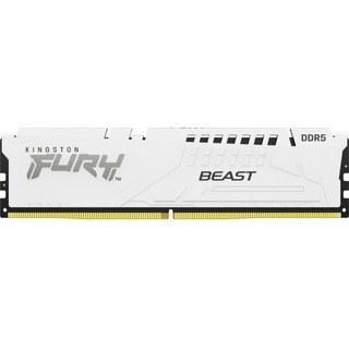 Kingston Technology FURY 16 Go 5600 MT/s DDR5 CL36 DIMM Beast White EXPO