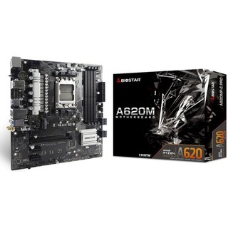 Biostar A620MP-E Pro