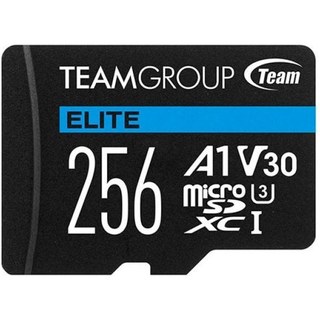 Team Group ELITE 256 Go MicroSDXC UHS-I