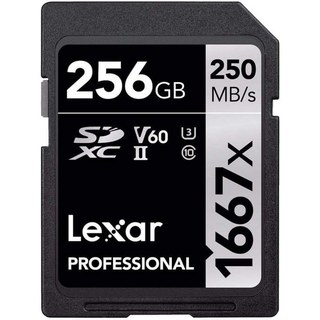 Lexar SDXC, 256 Go 256 Go UHS-II Classe 10