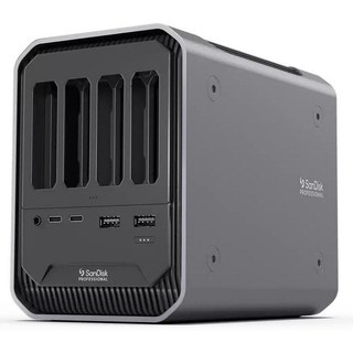 SanDisk Pro Dock 4 Avec fil Thunderbolt 3 Graphite