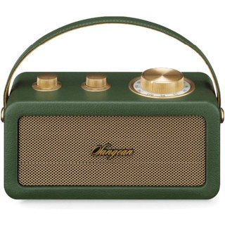 Sangean Ra-101 Forest Gold / Haut-parleur portable