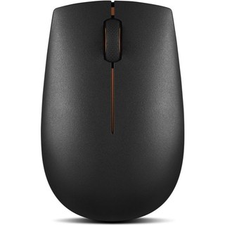 Souris compacte sans fil Lenovo 300