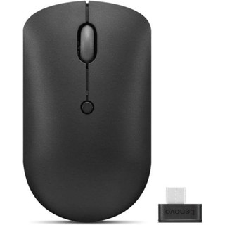 Souris Lenovo 400 USB-C sans fil 2400DPI compacte noire ambidextre