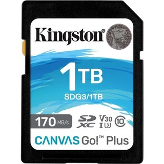 Toile technologique Kingston Go! Plus 1 To SD UHS-I classe 10