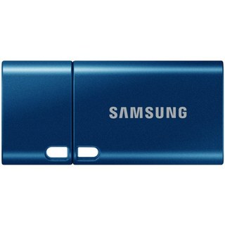 Samsung MUF-512DA clé USB 512 Go USB Type C 3.2 Gen 1 (3.1 Gen 1) Bleu