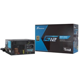 Seasonic Focus Gold 650 650 W 20+4 broches Atx