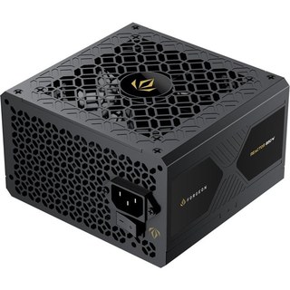 Alimentation entièrement modulaire Forgeon Reactor 850 W Cybenetics Platinum ATX 3.1 PCIe 5.1