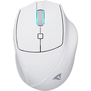 Souris Sharkoon OfficePal M25W 4000 DPI Sans Fil RGB 6 boutons USB-C 69G Blanc