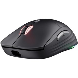 Souris Trust Gaming GXT 926 Redex II sans fil 10000 DPI RGB