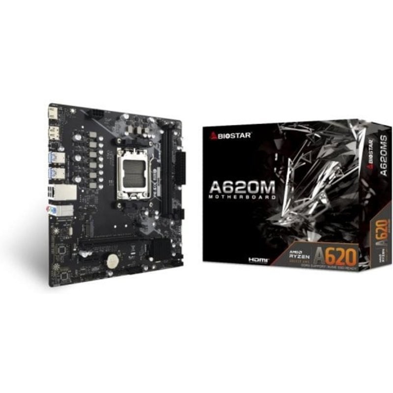 Carte Mère Biostar A620MS AMD Zócalo AM5 DDR5-SDRAM 128 Go micro ATX