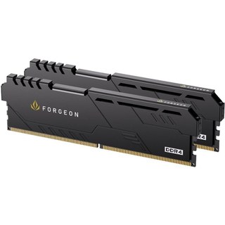 Forgeon Cyclone PLUS V2 DDR4 3200 MHz 16 Go 2 x 8 Go CL16 Noir