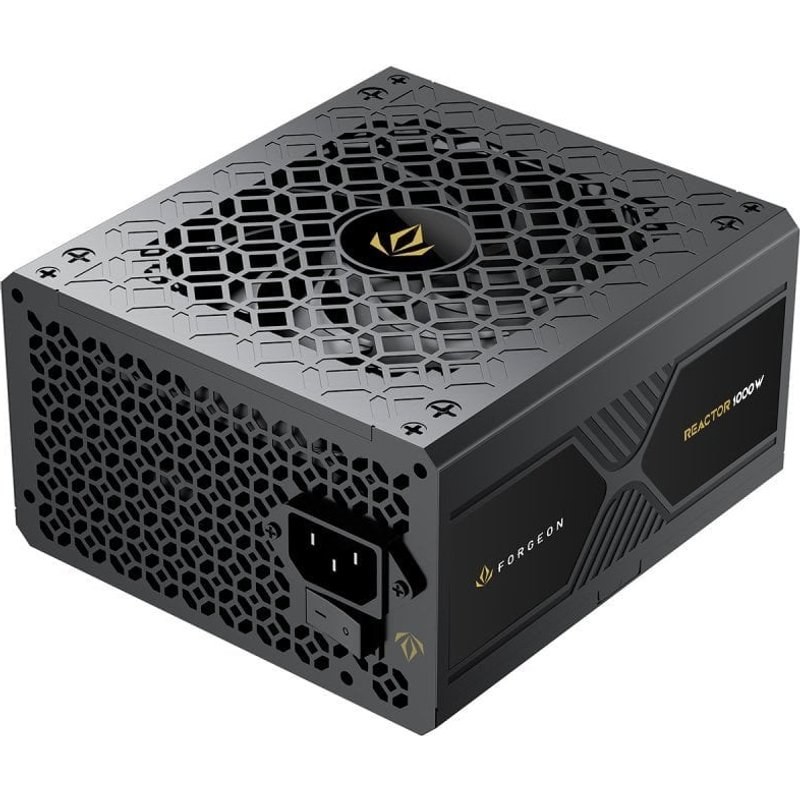 Forgeon Reactor 1000 Cybenetics Platinum ATX 3.1 PCIe 5.1 Alimentation entièrement modulaire