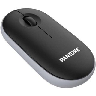 Souris Pantone PT-MS001BK Sans Fil 2400 DPI Noir Gris Ergonomique Silencieux