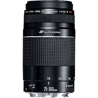 Objectif Canon EF 75-300 mm f/4-5.6 III USM Téléobjectif Monture EF Autofocus Rapide