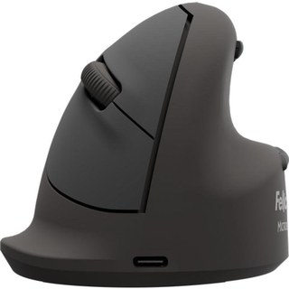 Souris Fellowes 100143584 Bluetooth USB Type-C 2400 DPI Noir Vertical Silencieux